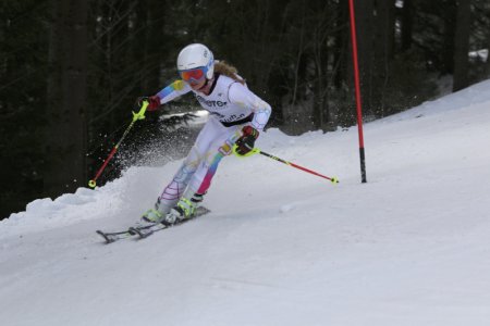 2016 Alpine Bezirksmeisterschaften am Bregtallift