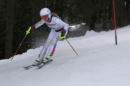 2016 Alpine Bezirksmeisterschaften am Bregtallift