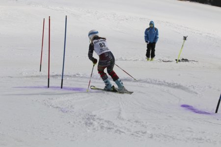 2016 Alpine Bezirksmeisterschaften am Bregtallift