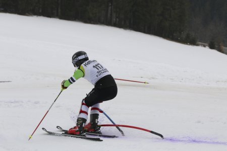 2016 Alpine Bezirksmeisterschaften am Bregtallift