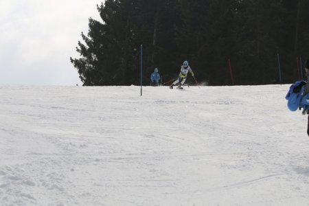 2016 Alpine Bezirksmeisterschaften am Bregtallift