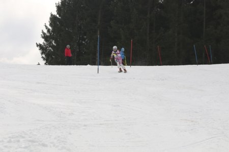2016 Alpine Bezirksmeisterschaften am Bregtallift