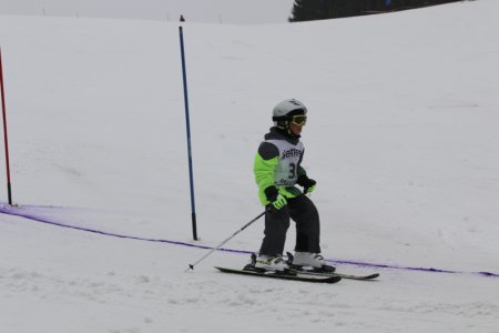 2016 Alpine Bezirksmeisterschaften am Bregtallift