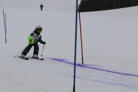 2016 Alpine Bezirksmeisterschaften am Bregtallift