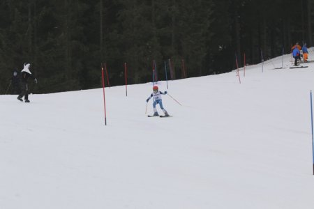 2016 Alpine Bezirksmeisterschaften am Bregtallift
