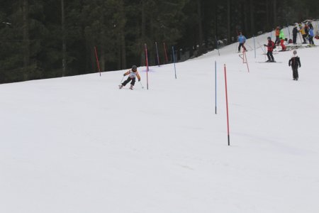 2016 Alpine Bezirksmeisterschaften am Bregtallift