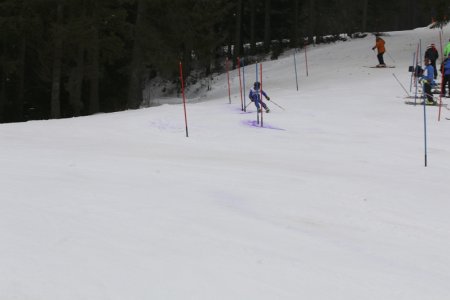 2016 Alpine Bezirksmeisterschaften am Bregtallift