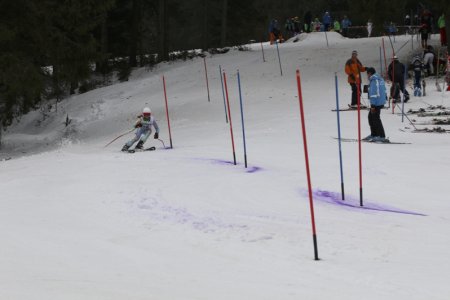 2016 Alpine Bezirksmeisterschaften am Bregtallift