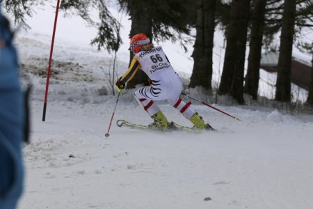 2016 Alpine Bezirksmeisterschaften am Bregtallift